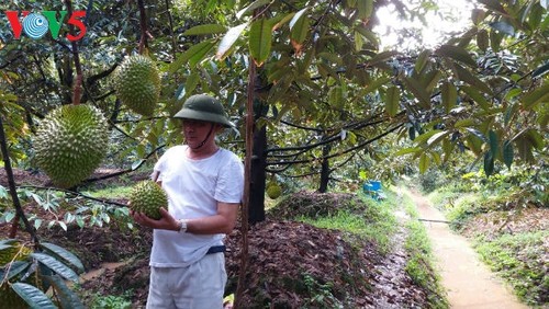 Landwirtschaft im Mekongdelta steht vor Herausforderungen bei der Eingliederung - ảnh 1